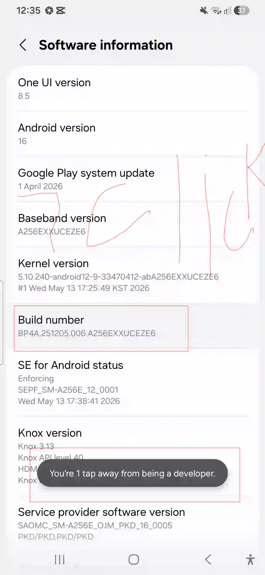 Samsung Galaxy Build number remaining tap toast no